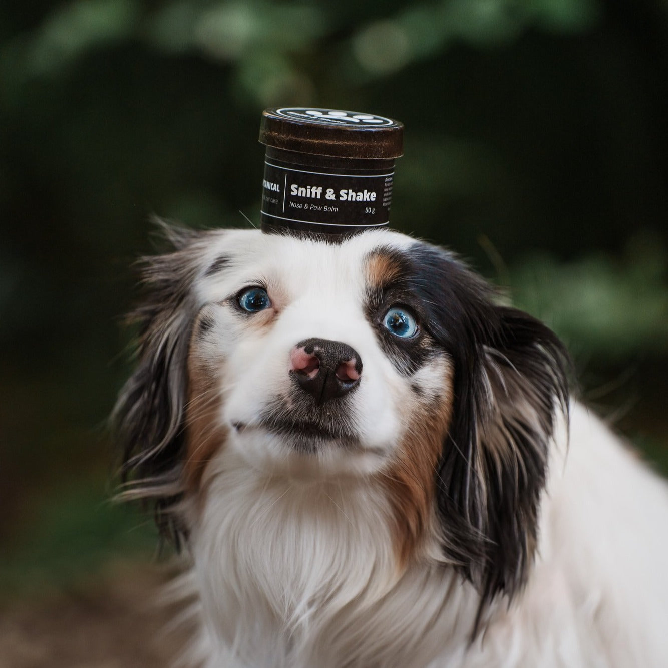 Sniff & Shake - Nose & Paw Balm