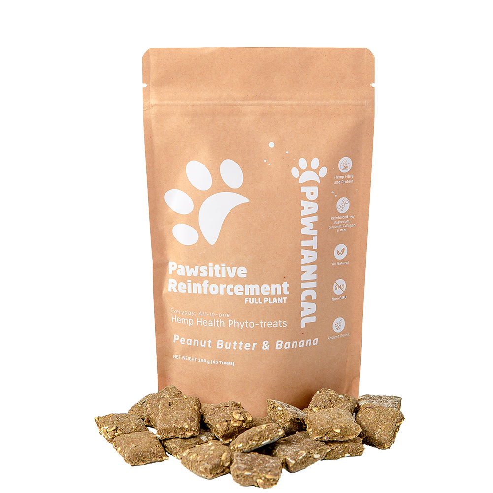 Pawsitive Reinforcement Full Plant Phyto Treats