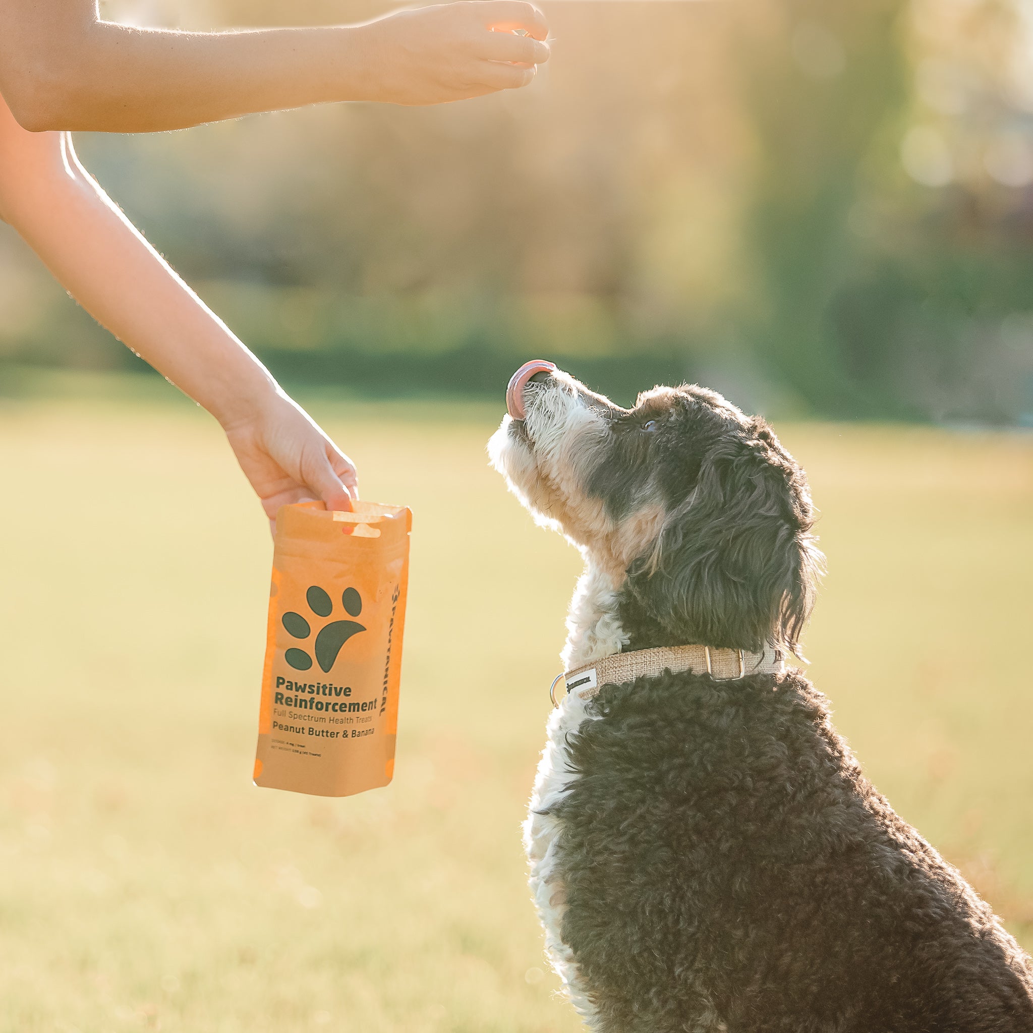 Pawsitive Reinforcement Full Spectrum Health Treats