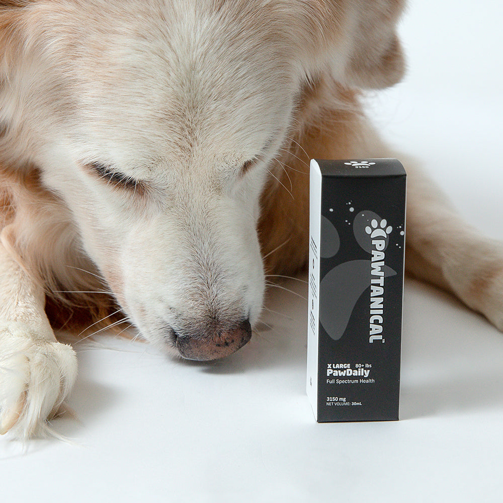 PawDaily X-Large (3150 mg)