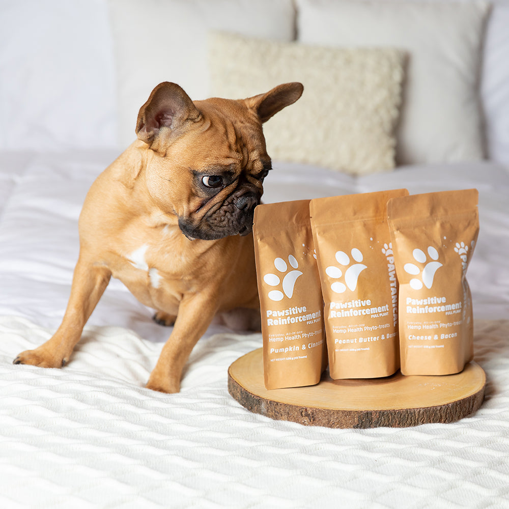 Pawsitive Reinforcement Full Plant Phyto Treats