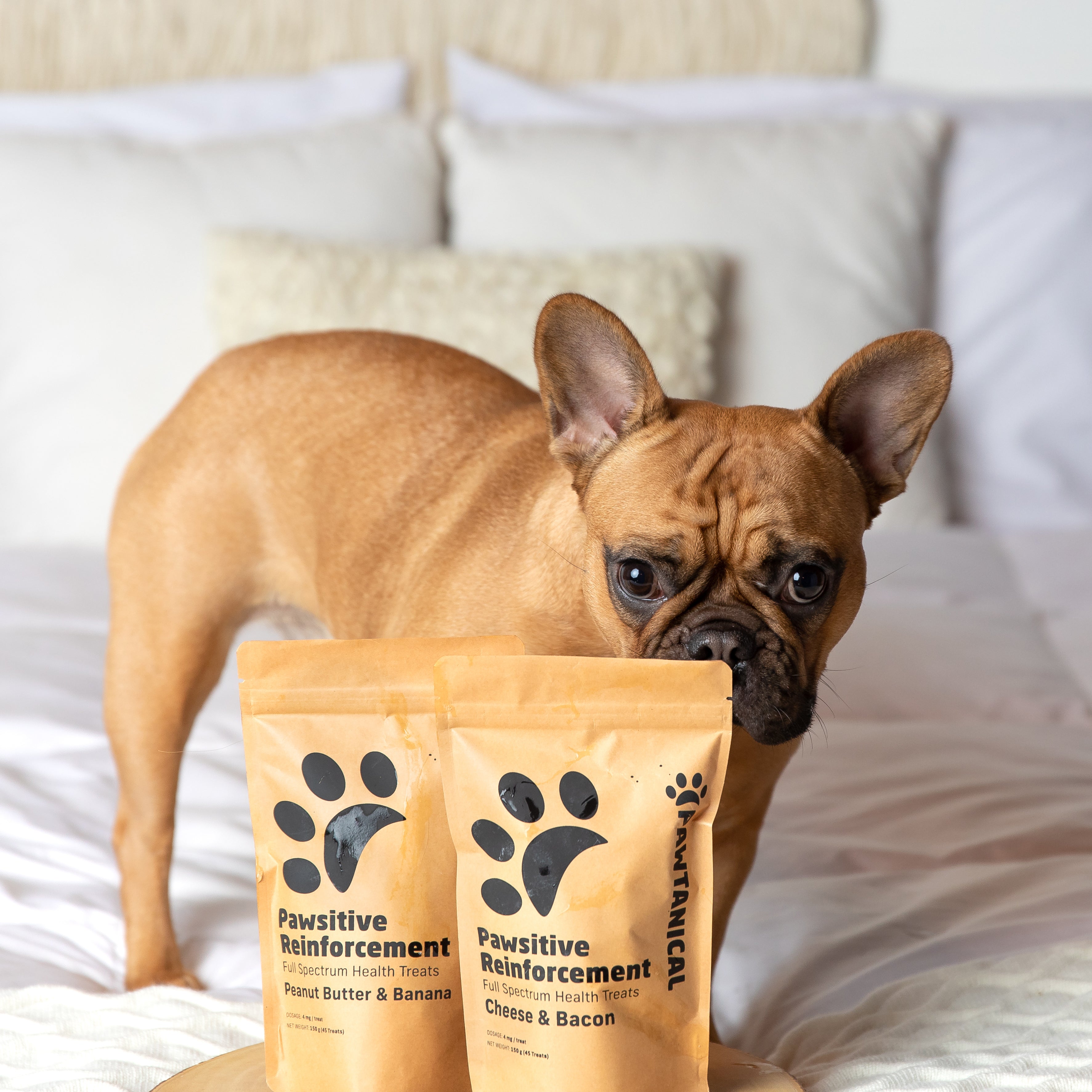 Pawsitive Reinforcement Full Spectrum Health Treats