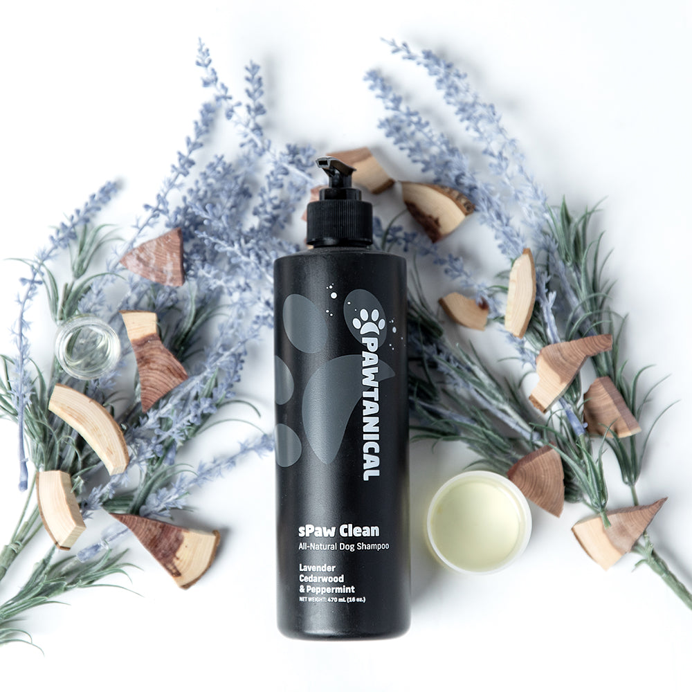 Particular paws outlet oatmeal shampoo