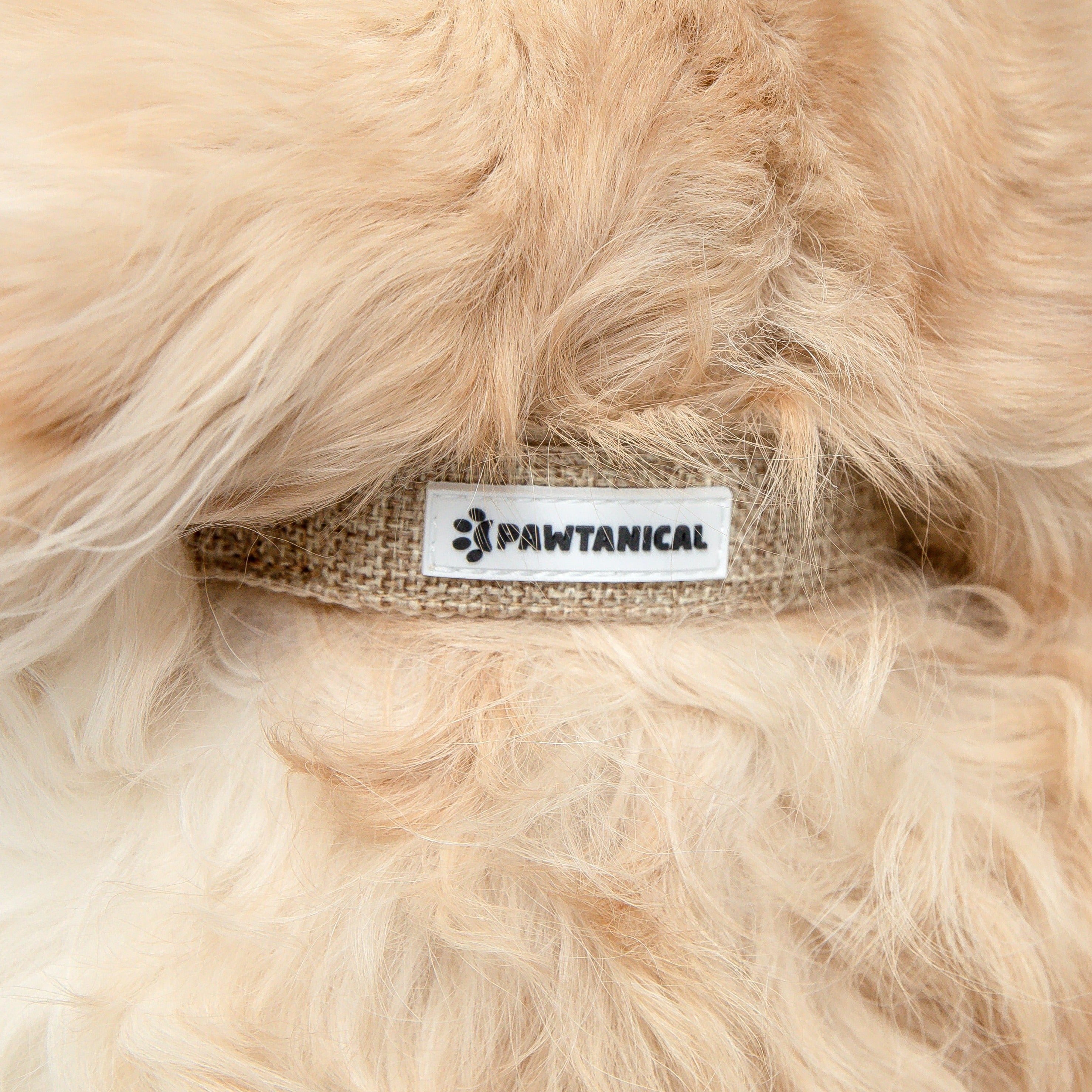 Hemp Dog Collar