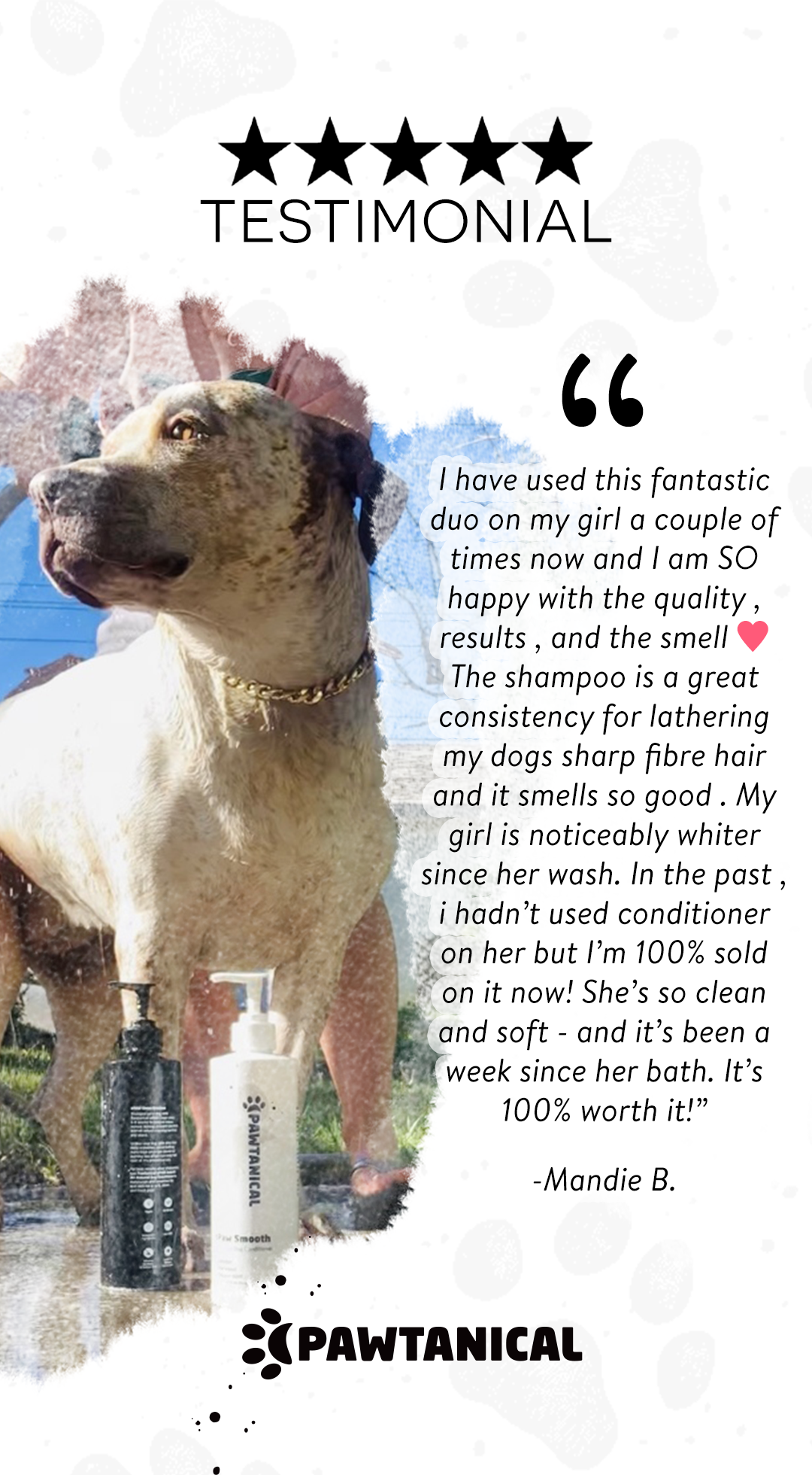 Olive oil dog 2024 conditioner