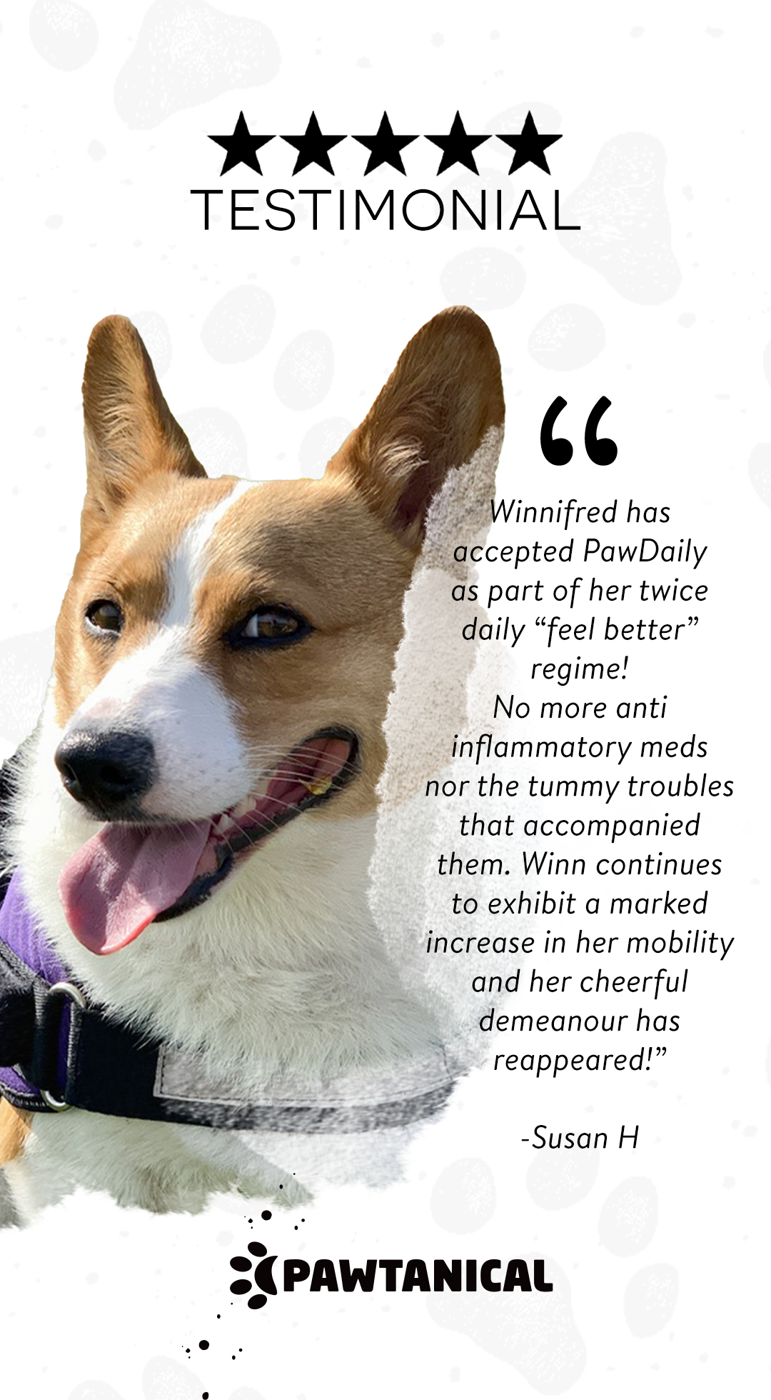 PawDaily Medium (1050 mg)